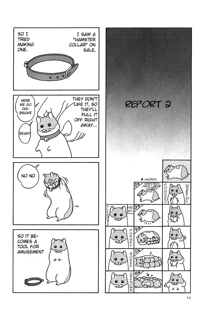 Hamster no Kenkyuu Report Chapter 2 1